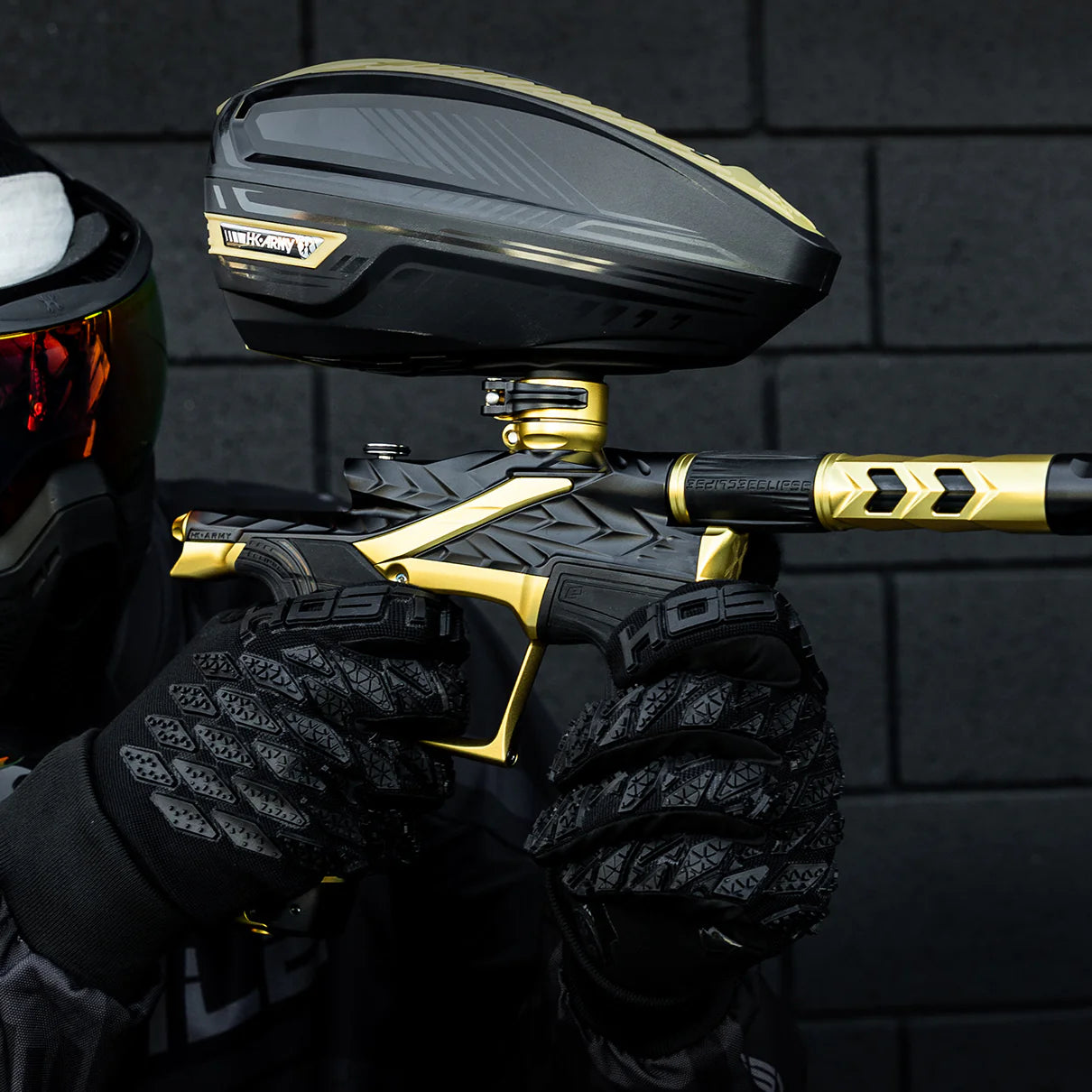 HK Fossil - Eclipse LV2