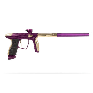 Dust Purple / Gold